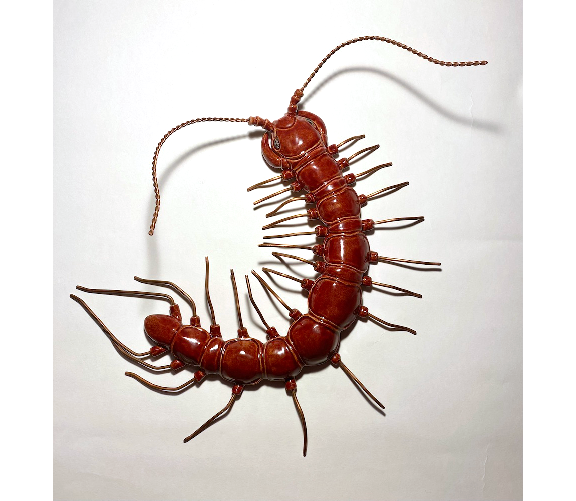 Rugosa Rostrum - Joelle Montez Fine Ceramic Sculpture